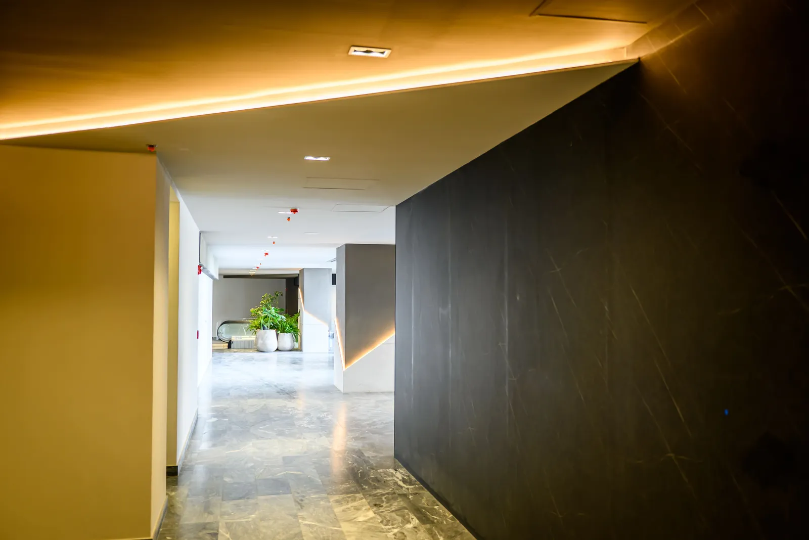 Inxignia — 4