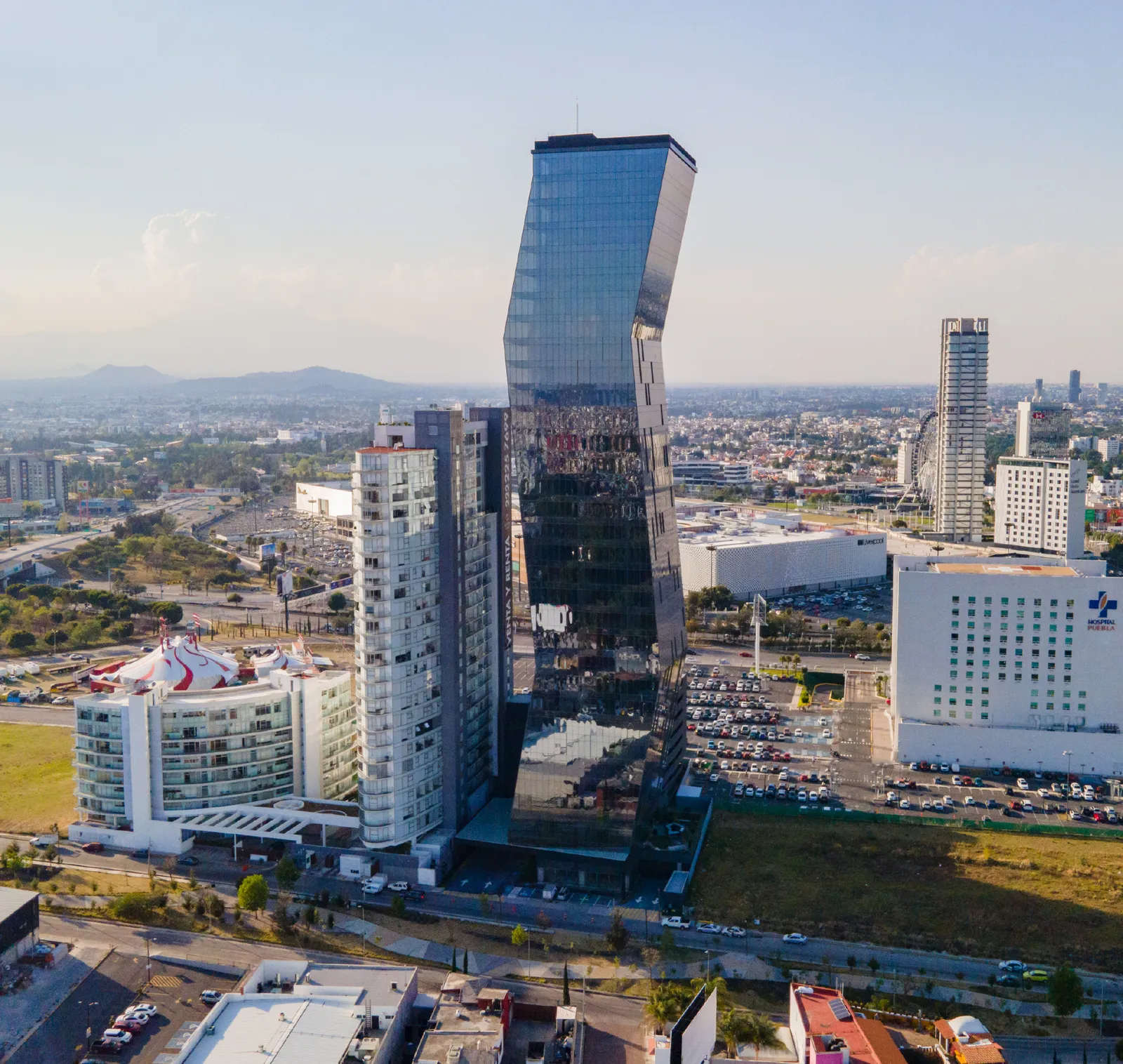 Platea — 12