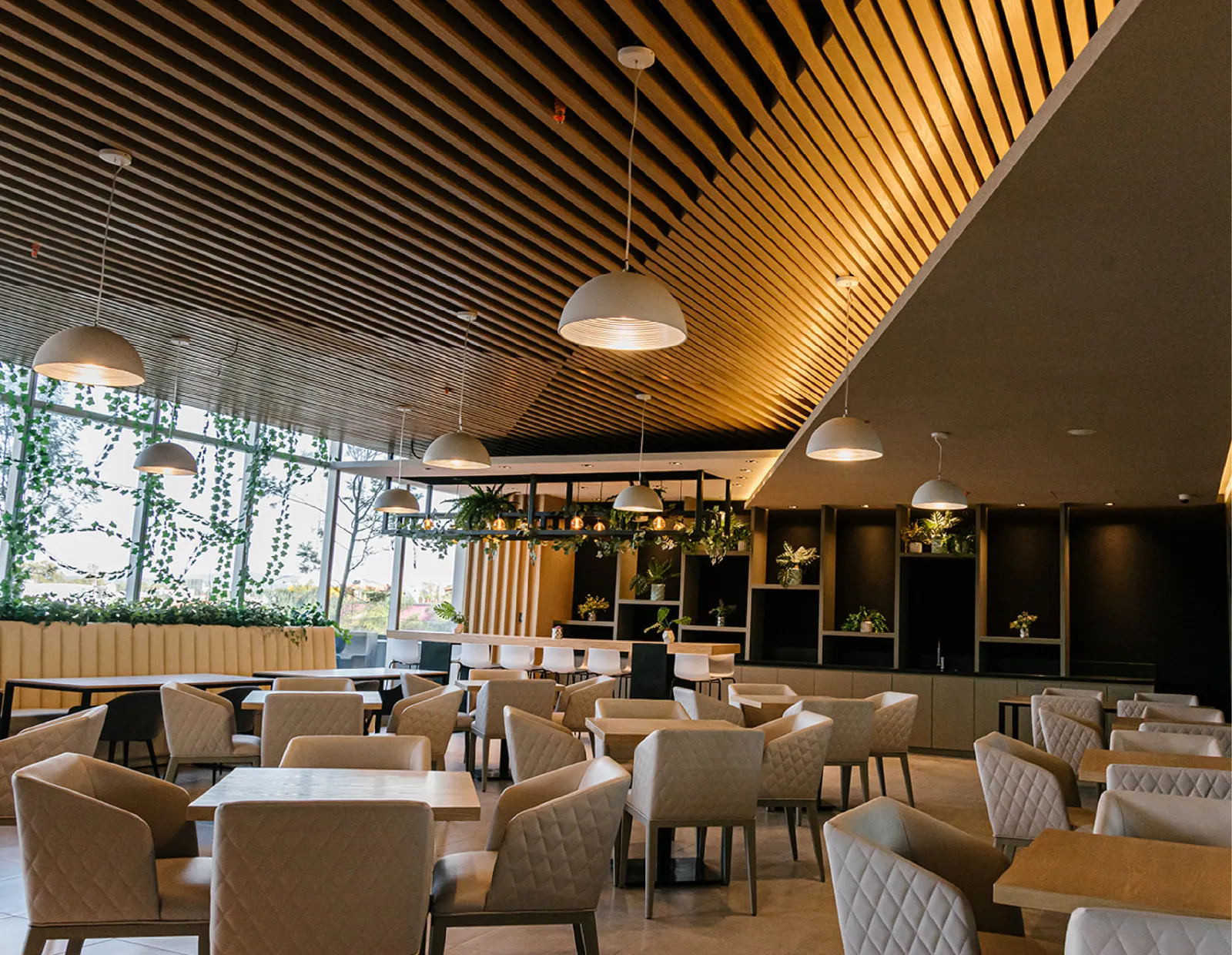 Platea — 9